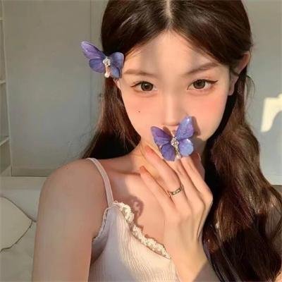 美人追
